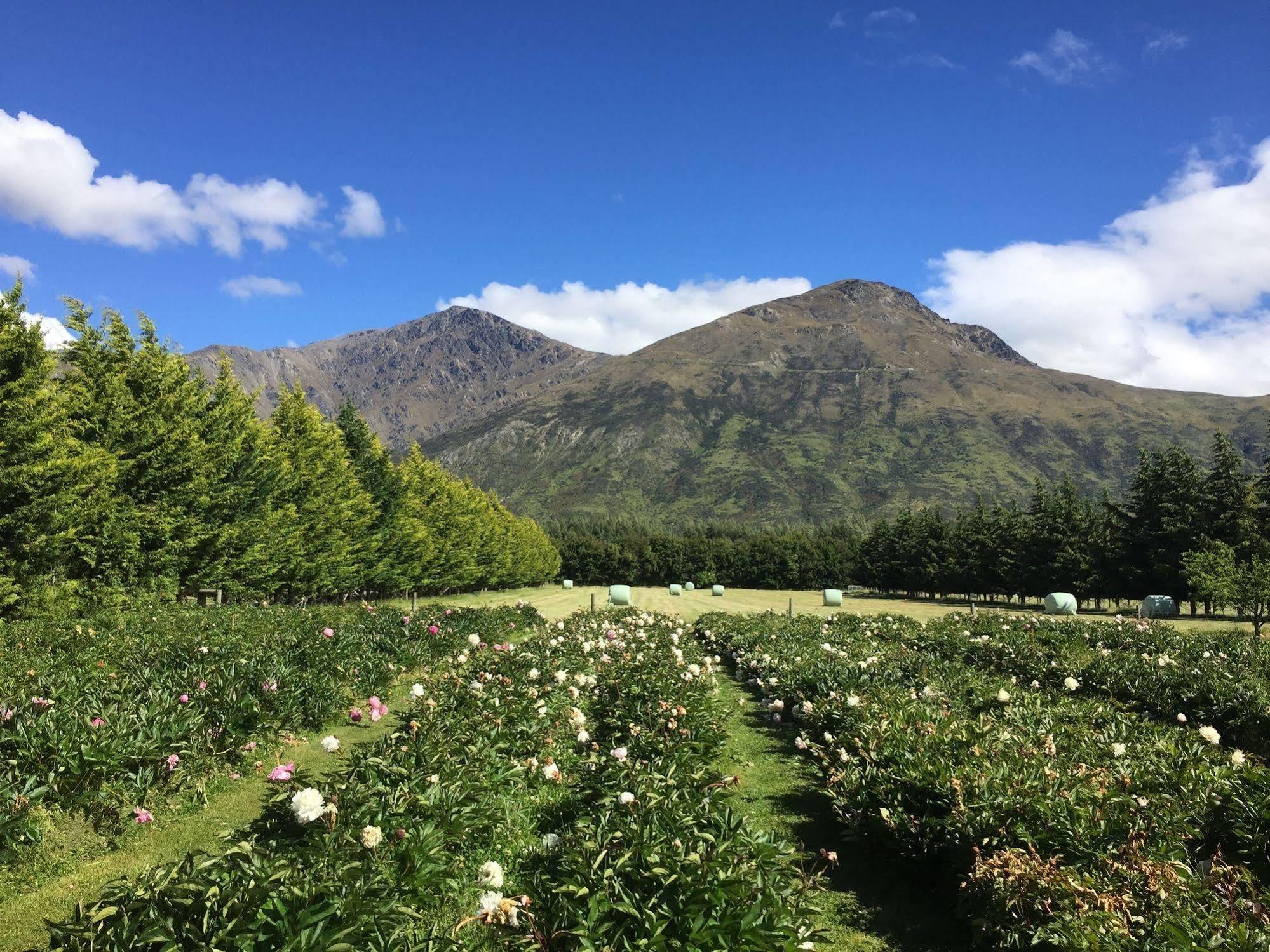 Queenstown Country Lodge Lake Hayes Exteriör bild